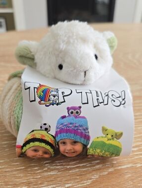 Top This Sheep Knitted Beanie Kit NWT